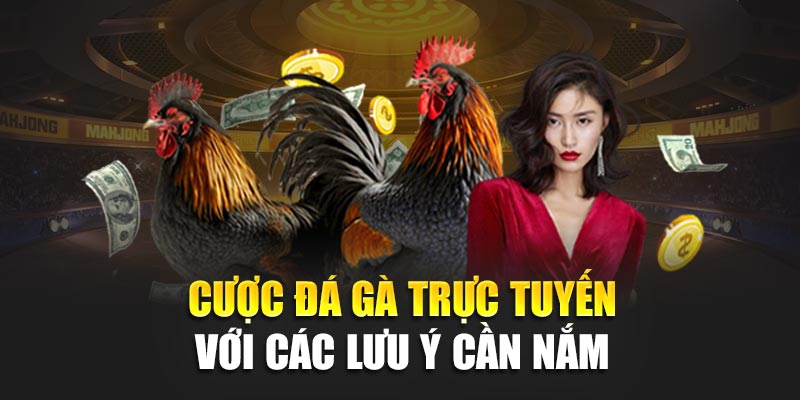Cược Đá Gà Trực Tuyến 188BET – Tốc Độ Cao, Thưởng Liên Tiếp 3 Cược đá gà trực tuyến với các lưu ý cần nắm tại 188BET