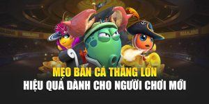 Mẹo Bắn Cá Thắng Lớn Hiệu Quả Dành Cho Người Chơi Mới